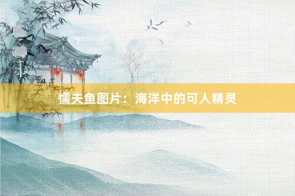 懦夫鱼图片：海洋中的可人精灵